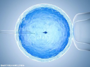 靠谱志愿者供卵咨询
